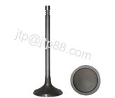 Teikuko 479Q Engine Valve For Chery Car / Inlet And Exhaust Valves