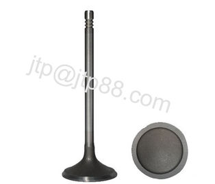 Teikuko 479Q Engine Valve For Chery Car / Inlet And Exhaust Valves