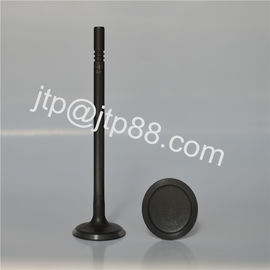 ISUZU Motor Engine Parts For Japan 4BE1 Diesel Engine Valve OEM 5-12551-036-0 5-12552-043-0