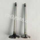 Silvery &amp; Black P40 Nissan Intake And Exhaust Valve 13202-58000 13202-58002