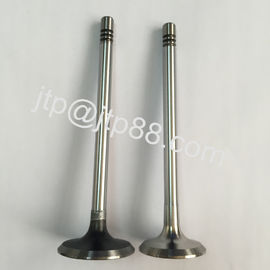 Silvery &amp; Black P40 Nissan Intake And Exhaust Valve 13202-58000 13202-58002