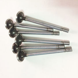 Diesel Valve Train Engine Intake Valve And Exhaust Valve E13 E15