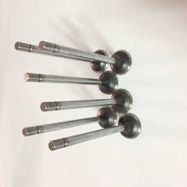 Diesel Valve Train Engine Intake Valve And Exhaust Valve E13 E15