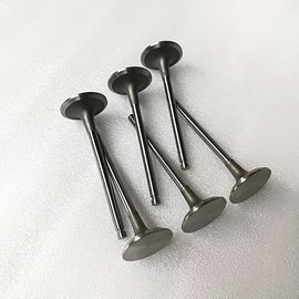 Silvery & Black Diesel Engine Valve SD23 Race Forged Inlet Exhaust Engine Valve 13201-L2000 13202-L2000