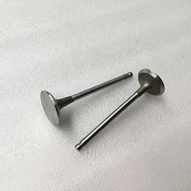 Silvery & Black Diesel Engine Valve SD23 Race Forged Inlet Exhaust Engine Valve 13201-L2000 13202-L2000
