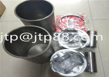 Alfin / Anoziding / Bush / Coating Diesel Piston &amp; Piston Ring W04D/ W04DT Cylindre liner