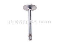 Car Spare Parts Swirl Polished Diesel Engine Valve E13 E15 Intake Valve And Exhaust Valve 13201-01M00