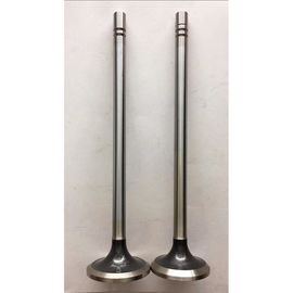 SS Material Diesel Engine Valve P680 P40 Diesel Engine Parts Exhaust Valve 13201-58000