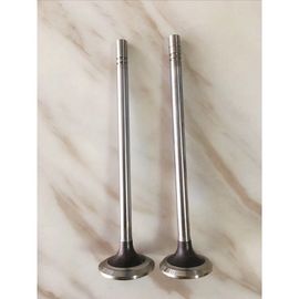 Stainless Steel Diesel Engine Valve CD20T CD20 CD17 Intake &amp; Exhaust Valve 13201-16A00 13202-16A00