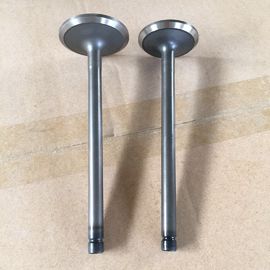 Automobile Engine Valve B13 GA16  Intake Exhaust Valve For Nissan 13201-53Y00 13202-53Y00